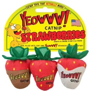 Ducky World - Trio de Fraises - Jouet d'Herbe à Chat