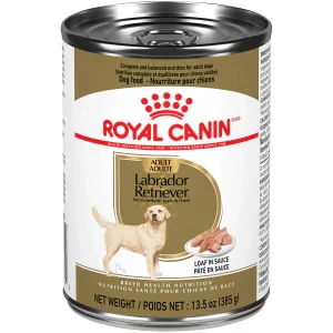 Royal Canin - Labrador Retriever Pâté en Sauce - Nourriture Humide pour Chiens