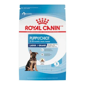 Royal Canin - GRAND Chiot - Nourriture Sèche pour Chiens