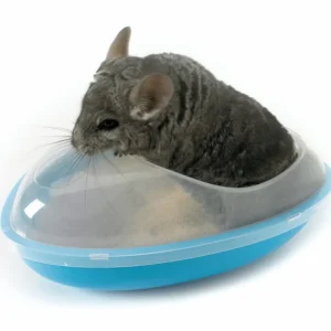 SAVIC Baingnoire à Sable pour Chinchilla