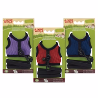 *LW Laisse & Harnais Asst. Couleurs S pour Petits Animaux