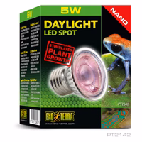 EXO TERRA Ampoule 5W à Lumière du Jour Nano à DEL pour Reptiles