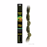 EXO TERRA Liane de Mousse 6' Mince pour Reptiles