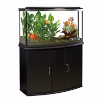 FLUVAL 45 Bow Aquarium Équipé/DEL 45G