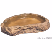 EXO TERRA Bol à Nourriture M pour Reptiles